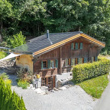 Heidi's Hideout - Private Historic By Heiti * Gstaad